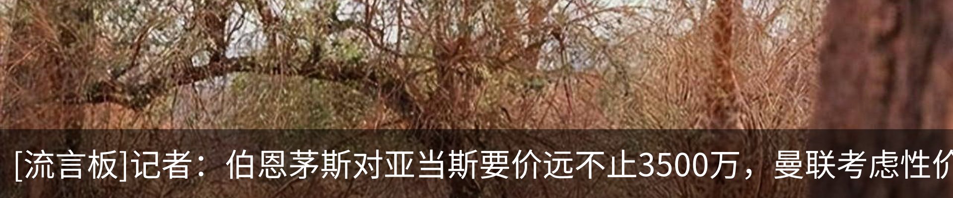 资讯中心